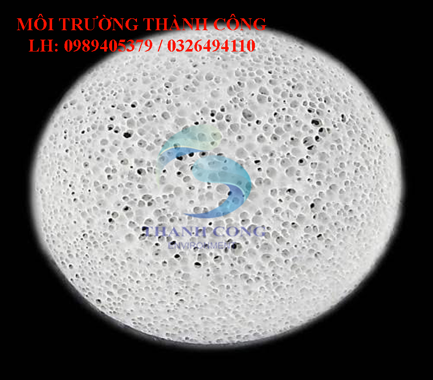 1giá thể giá thể vi sinh Biochip